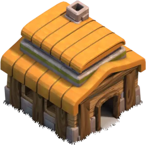Town hall 3